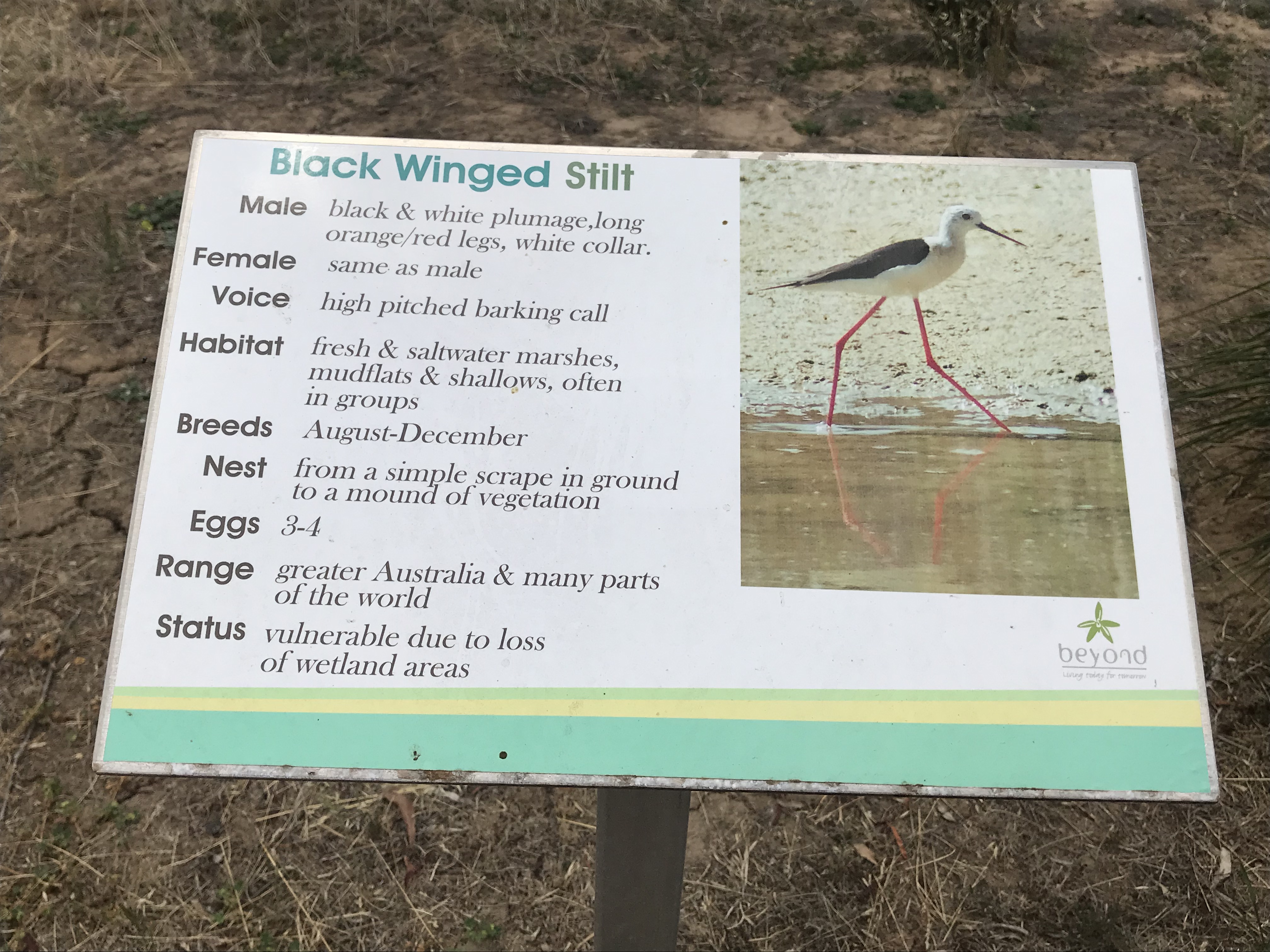 Info board at the Wetland Walk, Port Elliot.